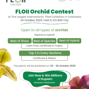 Ticket Orchid Contest