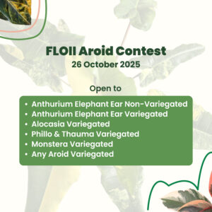 Ticket kontes Tanaman Hias Aroid
