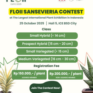 Ticket kontes Tanaman Hias Sansevieria