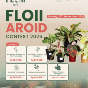 FLOII AROID CONTEST 2026