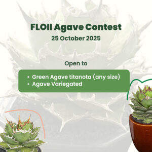 Ticket kontes Tanaman Hias Agave