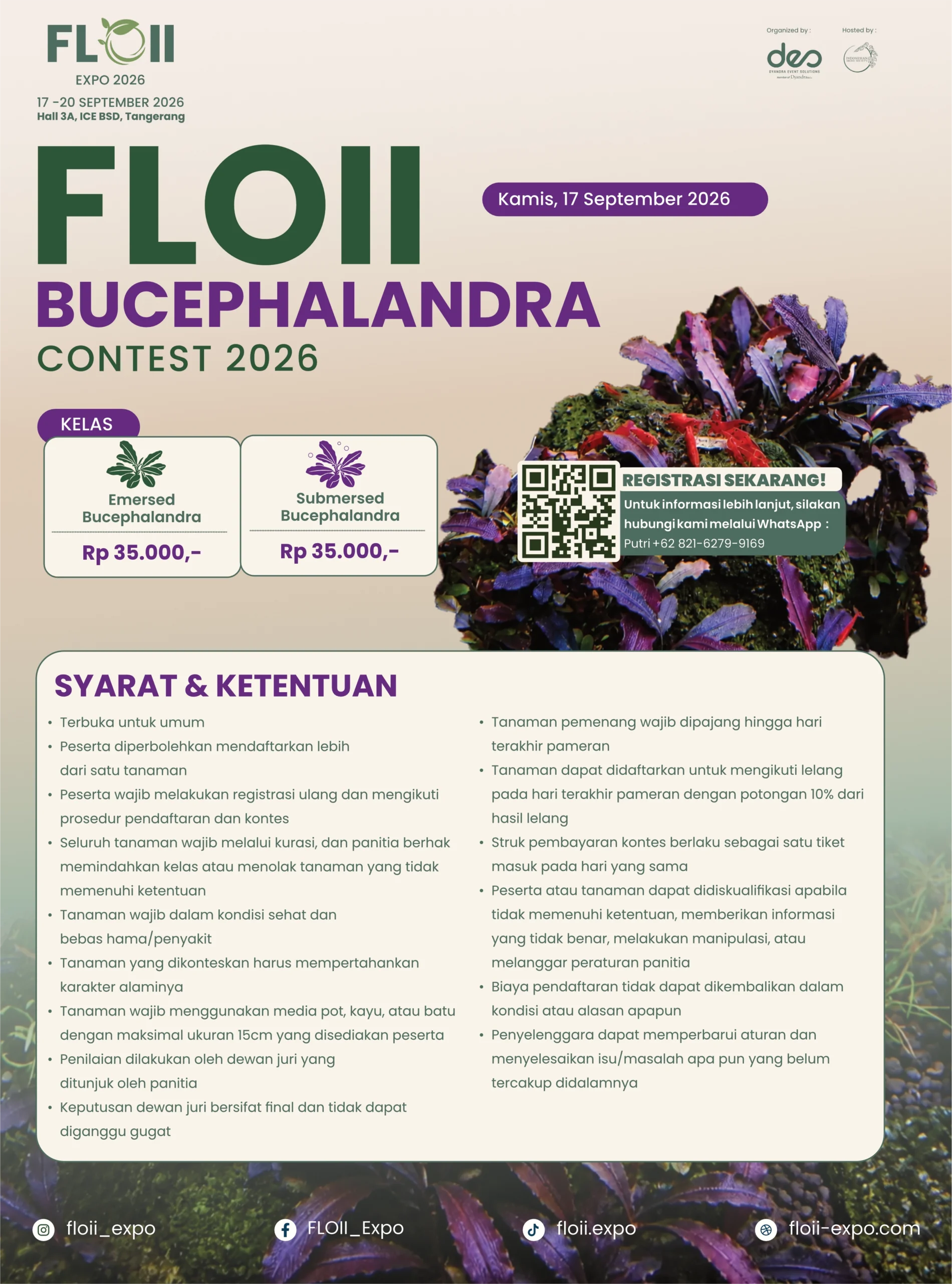 FLOII BUCEPHALANDRA CONTEST 2026 - Image 2
