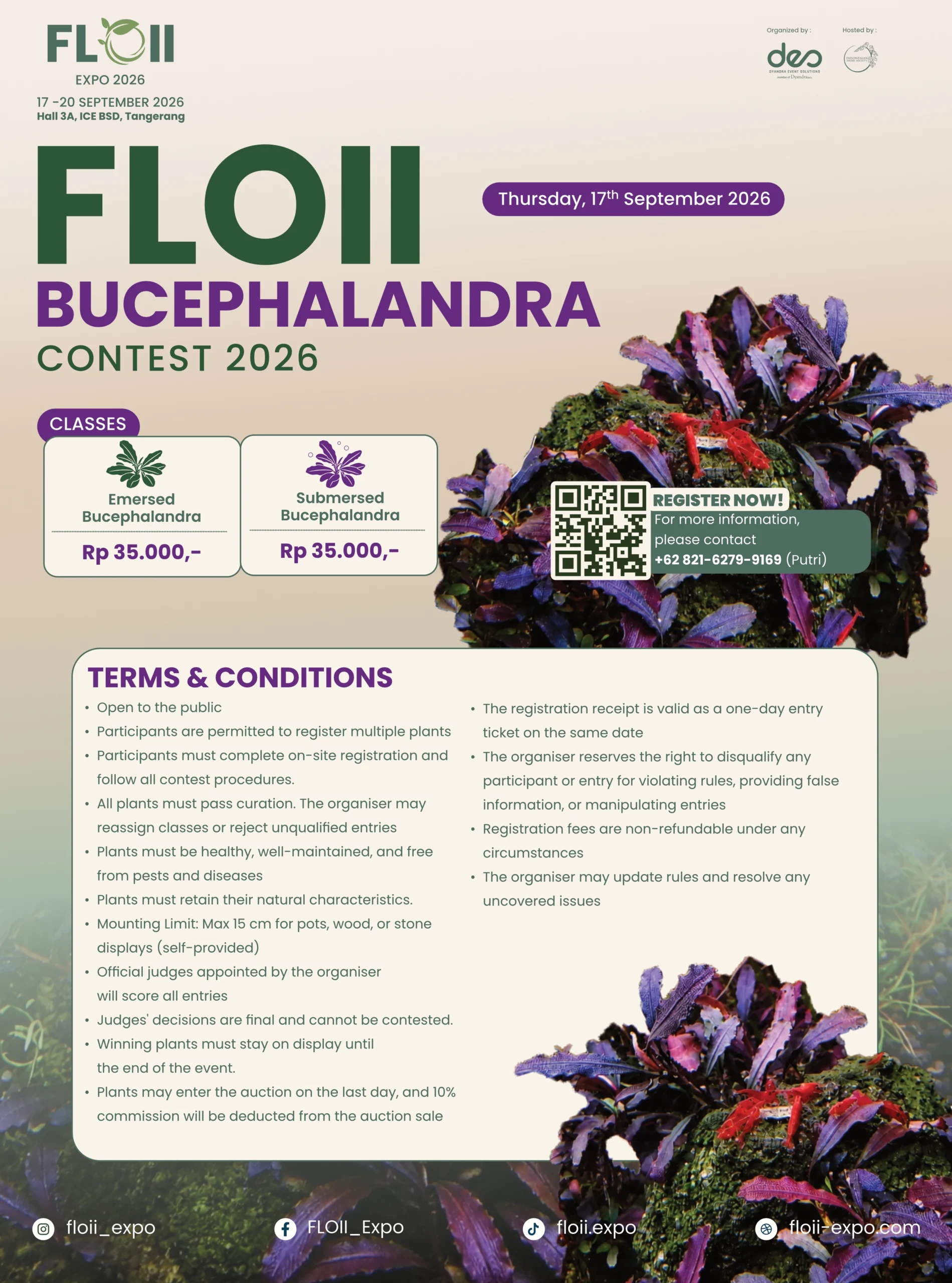 FLOII BUCEPHALANDRA CONTEST 2026 - Image 3