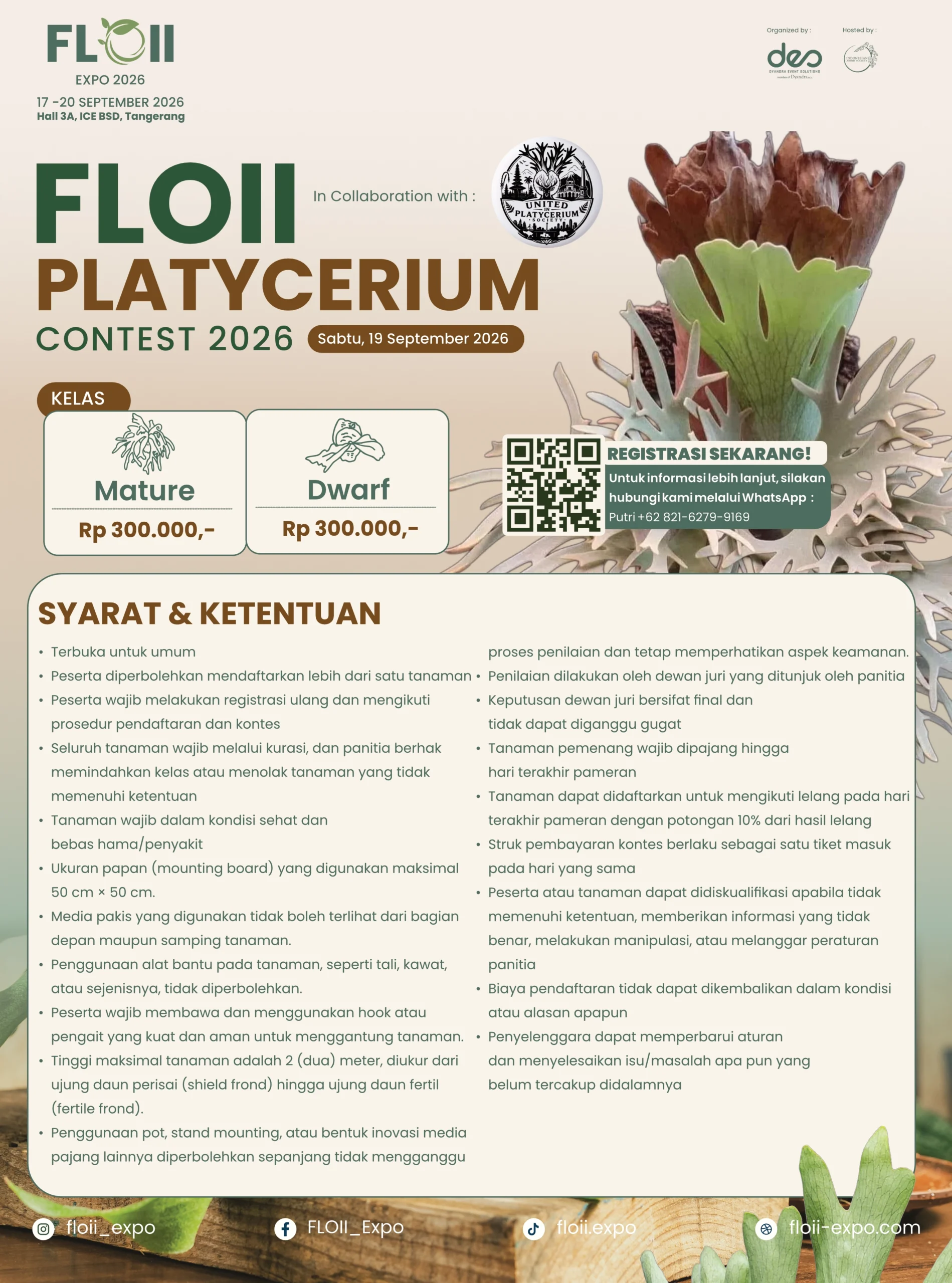 FLOII PLATYCERIUM CONTEST 2026 - Image 2