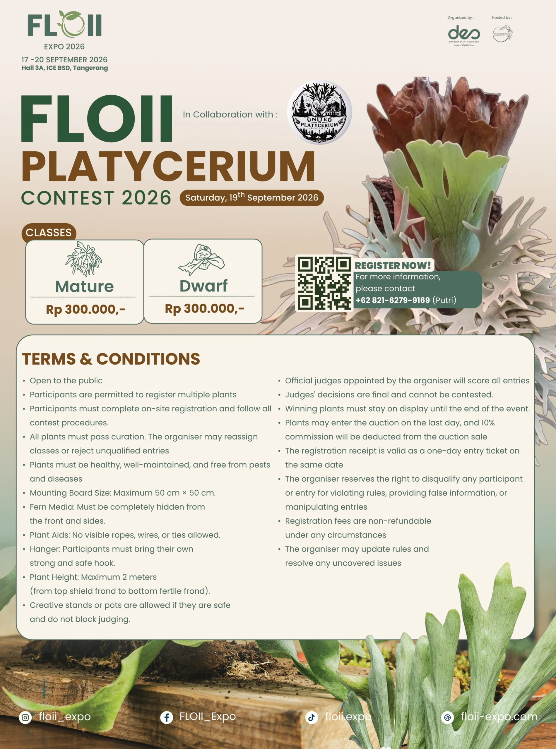FLOII PLATYCERIUM CONTEST 2026 - Image 3