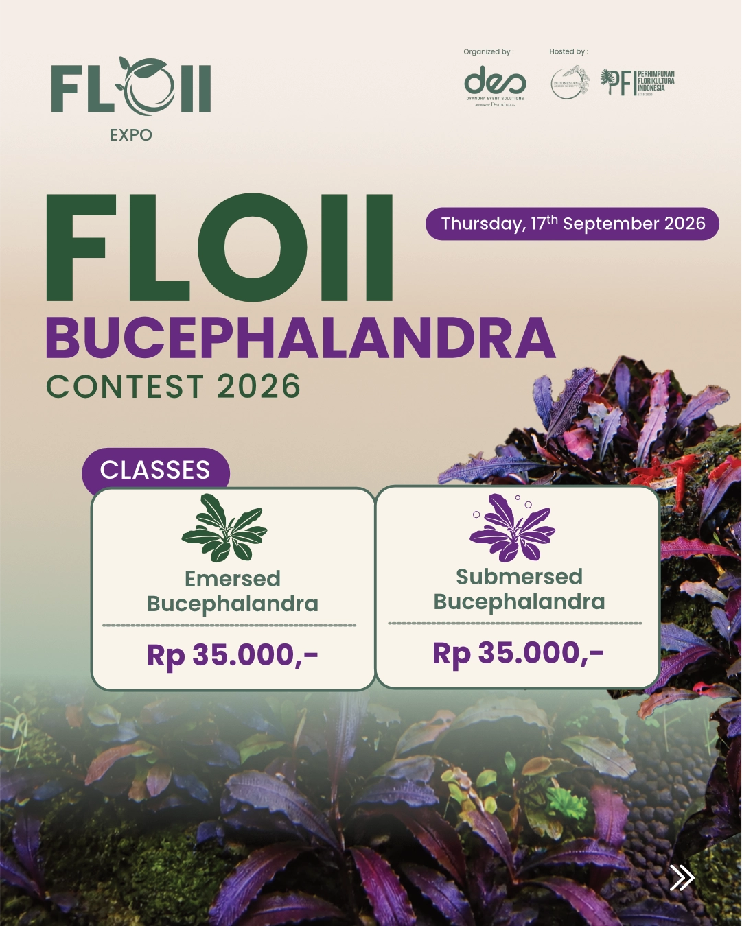 FLOII BUCEPHALANDRA CONTEST 2026