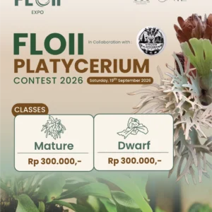 FLOII PLATYCERIUM CONTEST 2026 